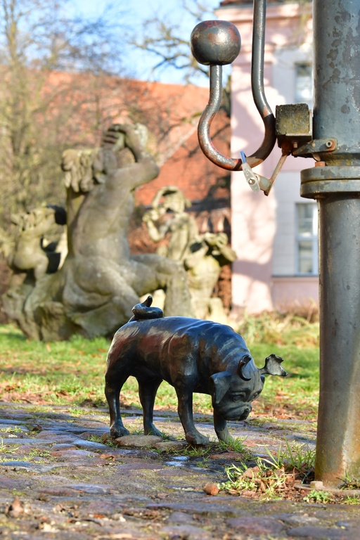 2026-01-08 Brandenburg an der Havel/Waldmöpse/DSC_2282.JPG